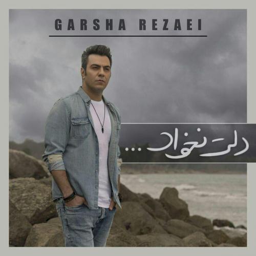 دانلود آهنگ جدید گرشا رضایی با عنوان دلت نخواد